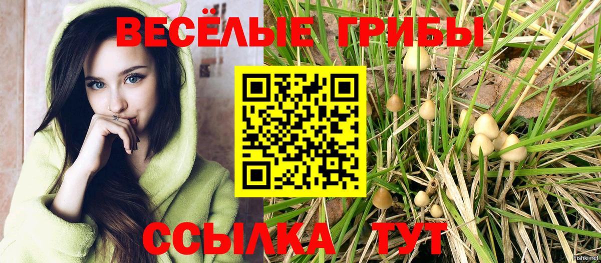 Вологда  Галлюциногенные грибы Cubensis  Вход с VPN 