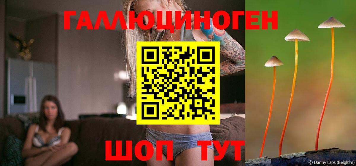 Галлюциногенные грибы Magic Shrooms Вологда
